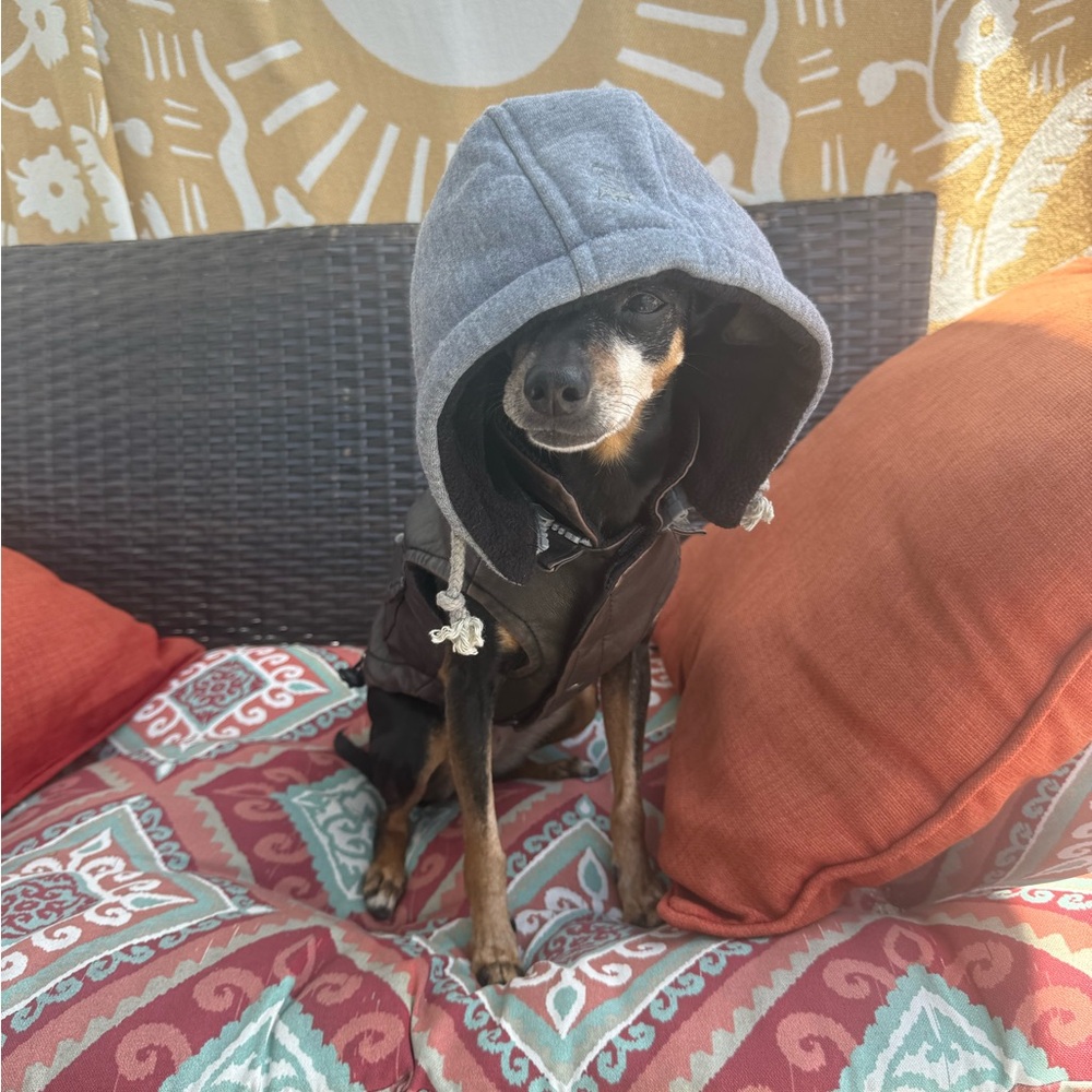 Stylish Faux Leather Dog Hoodie